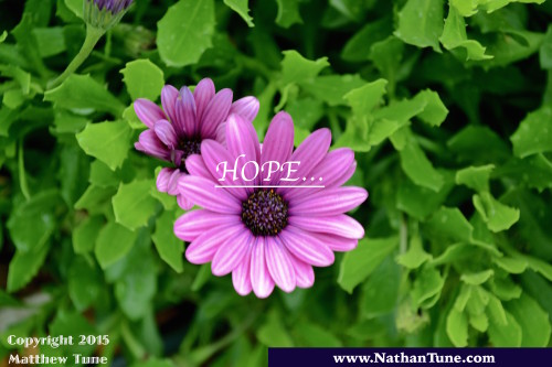 hope